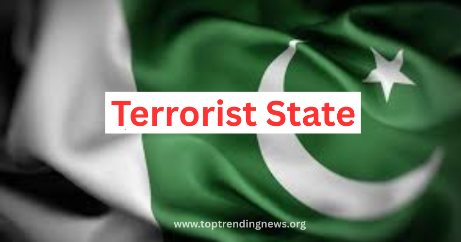 terror state