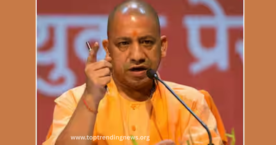 yogi