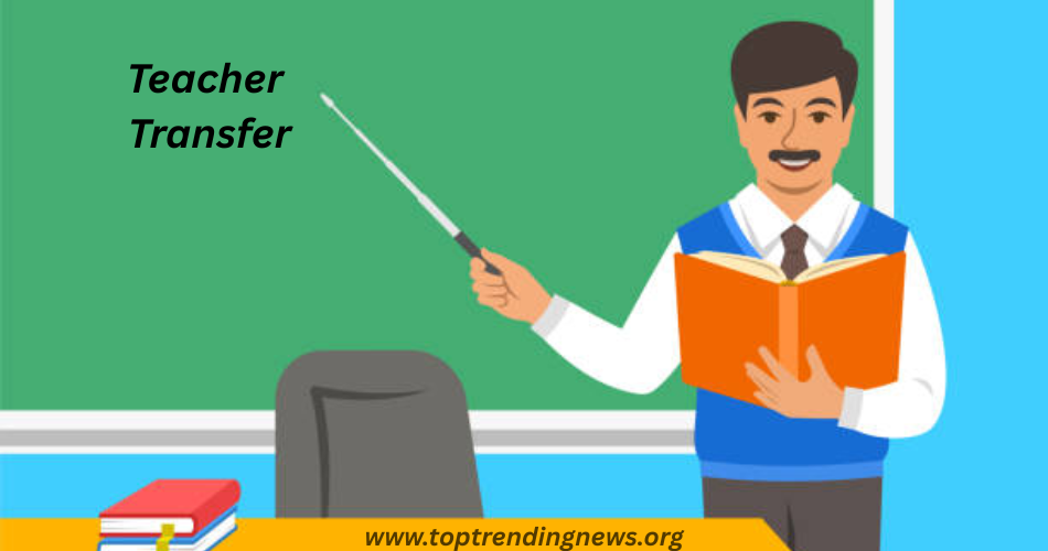 teacher 