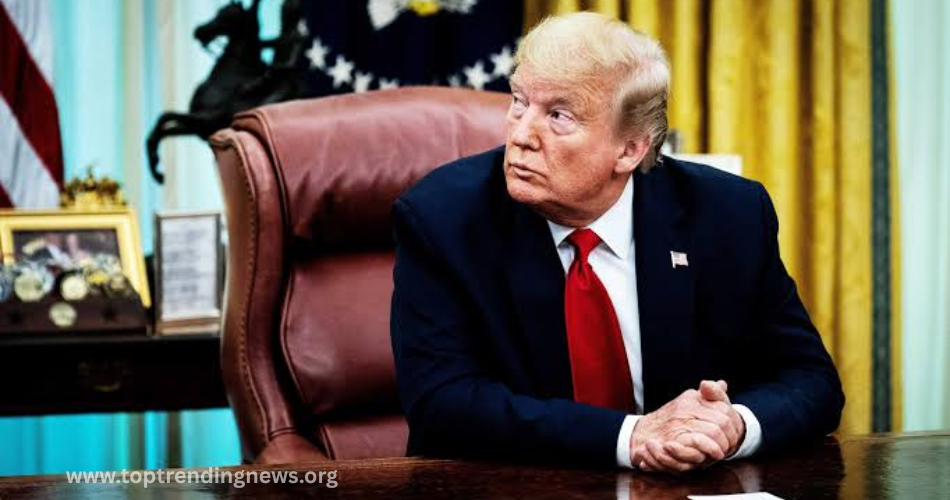 trump m