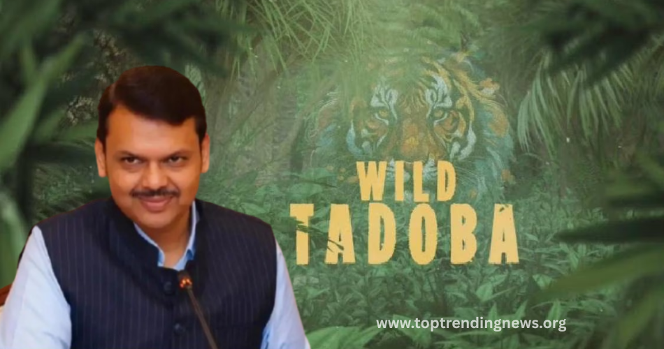 Wild Tadoba 